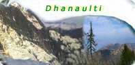Dhanaulti 